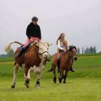 LUNA & GINI SPRINGEN IN DIE PROJEKTENWICKLUNG